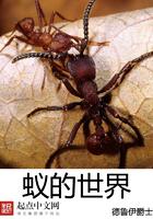 蚁的世界多少万字