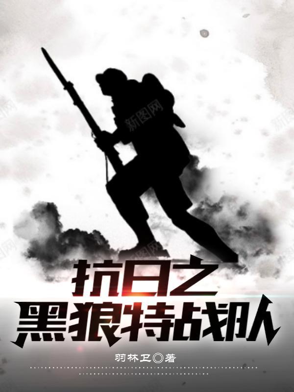 抗日之黑狼特战队免费阅读